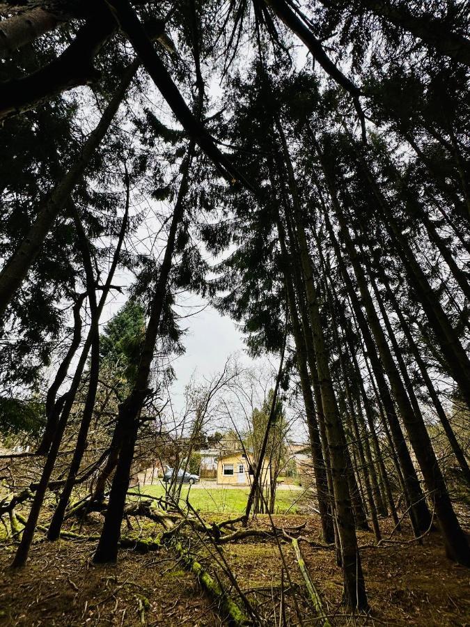 Ferienhaus Biber Godendorf  Buitenkant foto